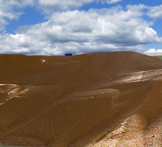 臺(tái)安稷豐糧食經(jīng)銷(xiāo)有限公司